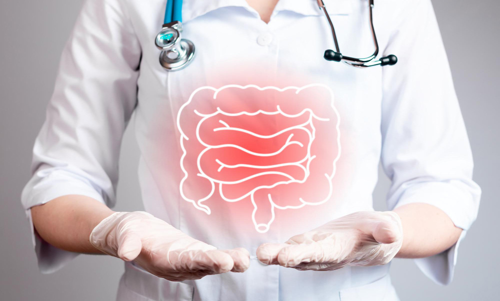 Decoding the future of prebiotics – the groundwork for gut health